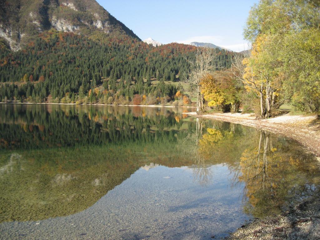 Apartments Pod Rodico Bohinjska Bistrica Extérieur photo